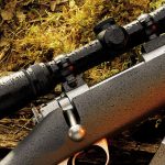 South African Hunting Safaris